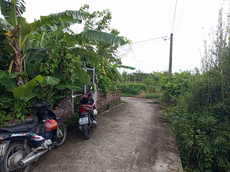 Bán Đất Thôn Kiều Trung, Xã Hồng Thái, An Dương, Hải Phòng – Vị Trí Đẹp, Giá Tốt